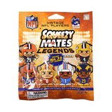 NFL squeezy mates legends front image